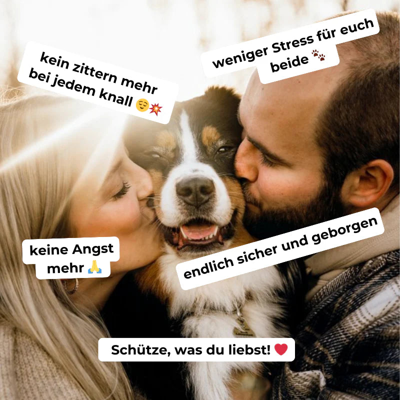 Silent Paws ORIGINAL®